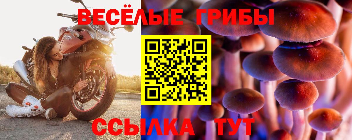 Псилоцибиновые грибы мухоморы  Вход с VPN  Новошахтинск 